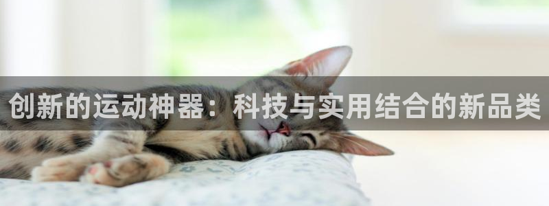 意昂体育5(KGAME)平台注册要钱吗：创新的运动神器：科技