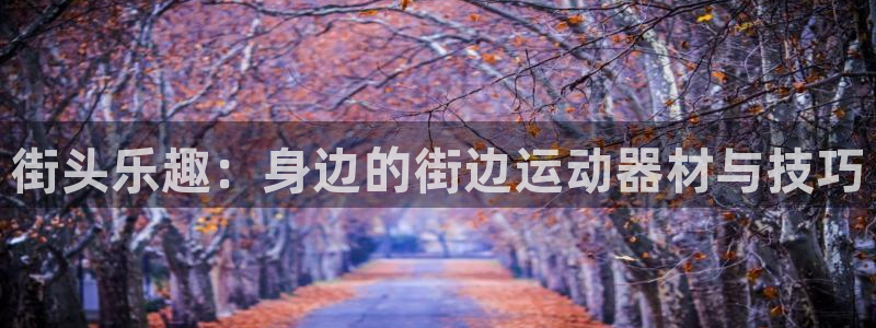 意昂5(KGAME)五金厂：街头乐趣：身边的街边运动器材与技