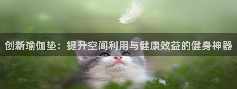 意昂体育5(KGAME)招商电话号码是多少：创新瑜伽垫：提升