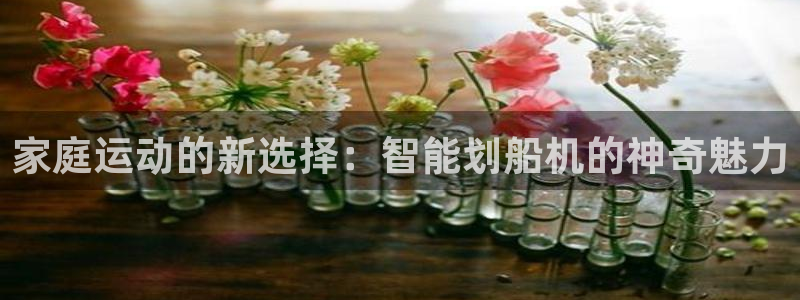意昂5(KGAME)娱乐平台：家庭运动的新选择：智能划船机的