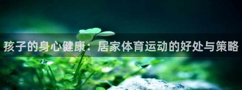 成都金熊猫体育
