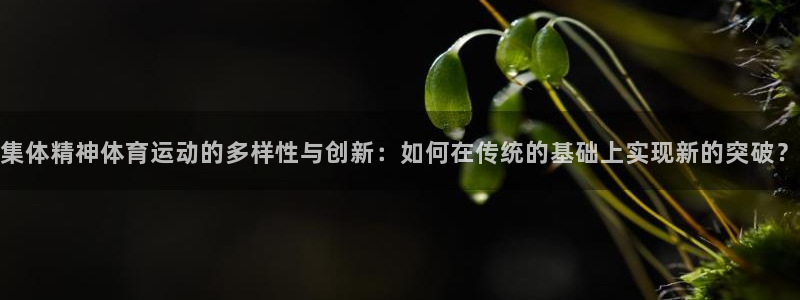181熊猫体育：集体精神体育运动的多样性与创新：如何在传统的基础上实现新的突破？