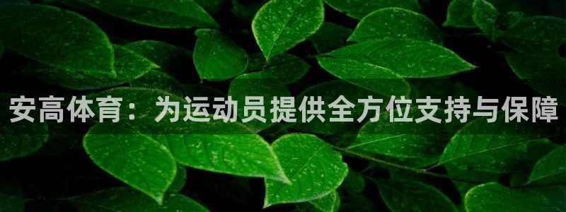 熊猫体育官网：安高体育：为运动员提供全方位支持与保障