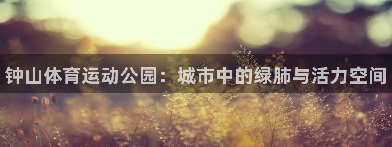 熊猫体育网址：钟山体育运动公园：城市中的绿肺与活力空间