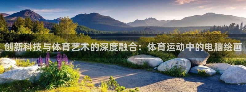 熊猫体育网站：创新科技与体育艺术的深度融合：体育运动中的电脑绘画