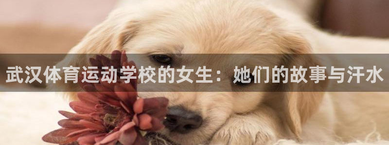 熊猫体育v3.新网页.org：武汉体育运动学校的女生：她们的故事与汗水